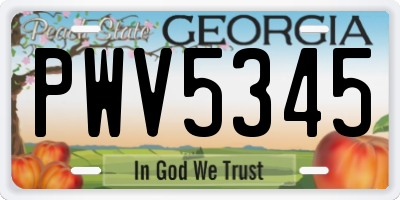 GA license plate PWV5345