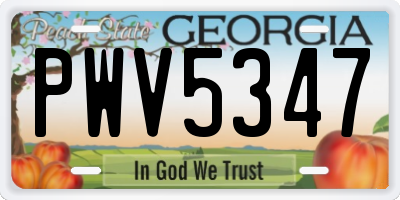 GA license plate PWV5347