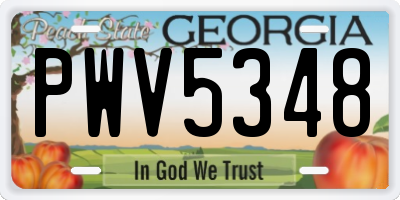GA license plate PWV5348
