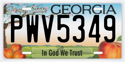 GA license plate PWV5349