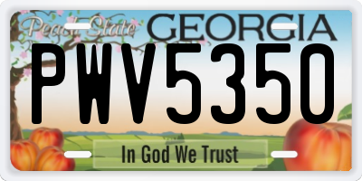 GA license plate PWV5350