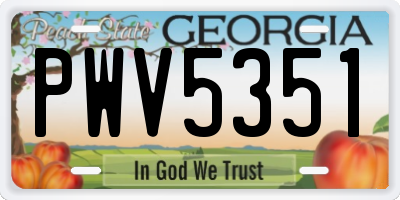 GA license plate PWV5351