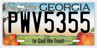 GA license plate PWV5355
