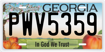 GA license plate PWV5359