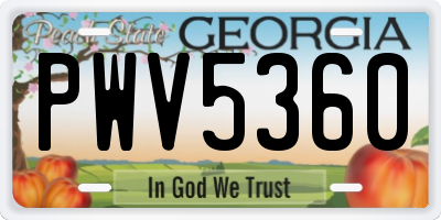 GA license plate PWV5360