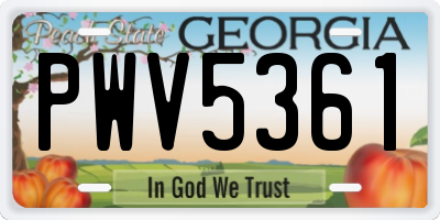 GA license plate PWV5361