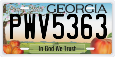 GA license plate PWV5363