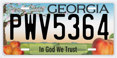 GA license plate PWV5364