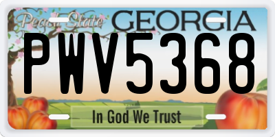 GA license plate PWV5368