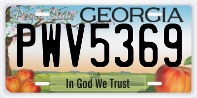 GA license plate PWV5369