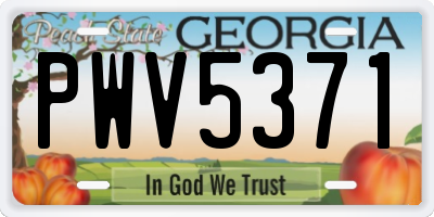 GA license plate PWV5371