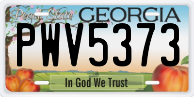GA license plate PWV5373