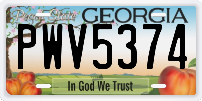 GA license plate PWV5374