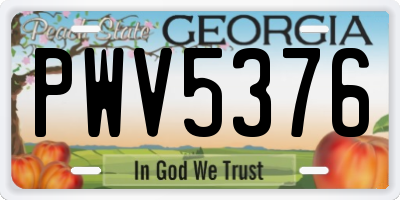 GA license plate PWV5376