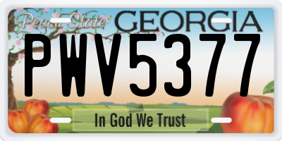 GA license plate PWV5377