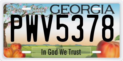 GA license plate PWV5378