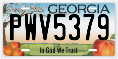 GA license plate PWV5379