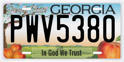 GA license plate PWV5380