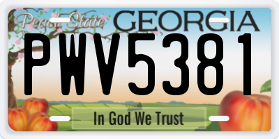 GA license plate PWV5381