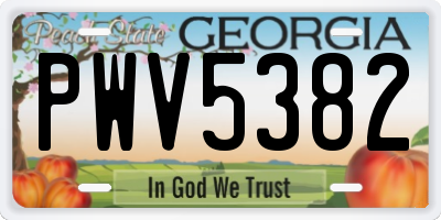 GA license plate PWV5382