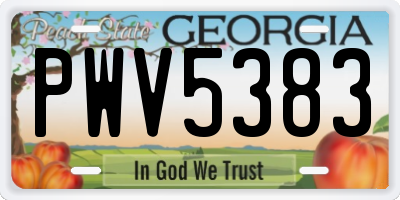 GA license plate PWV5383