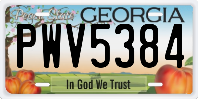 GA license plate PWV5384