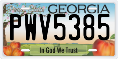 GA license plate PWV5385