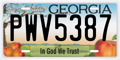 GA license plate PWV5387