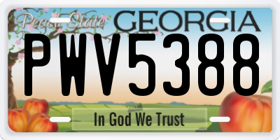 GA license plate PWV5388
