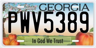 GA license plate PWV5389