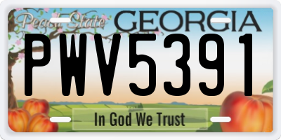 GA license plate PWV5391