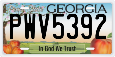 GA license plate PWV5392