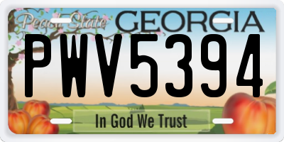 GA license plate PWV5394