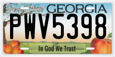 GA license plate PWV5398