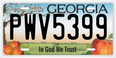 GA license plate PWV5399