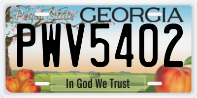 GA license plate PWV5402