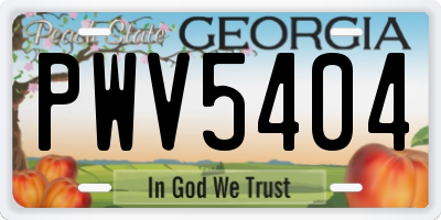 GA license plate PWV5404