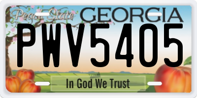 GA license plate PWV5405