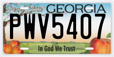 GA license plate PWV5407