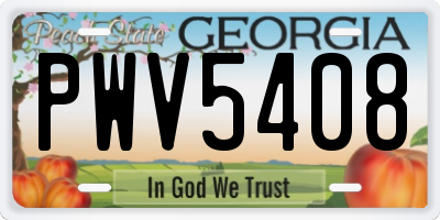 GA license plate PWV5408
