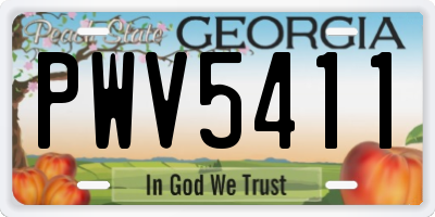 GA license plate PWV5411