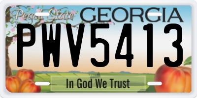 GA license plate PWV5413