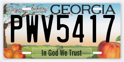GA license plate PWV5417