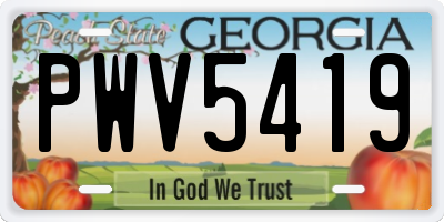 GA license plate PWV5419