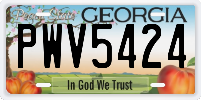 GA license plate PWV5424