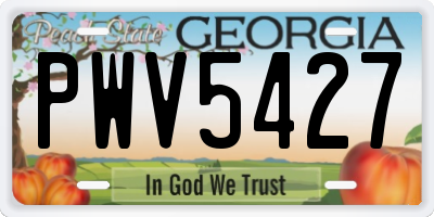 GA license plate PWV5427