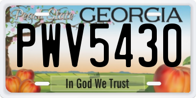 GA license plate PWV5430