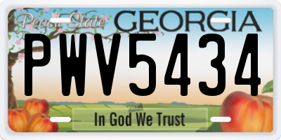 GA license plate PWV5434