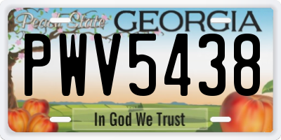GA license plate PWV5438