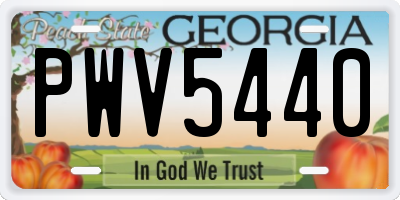GA license plate PWV5440